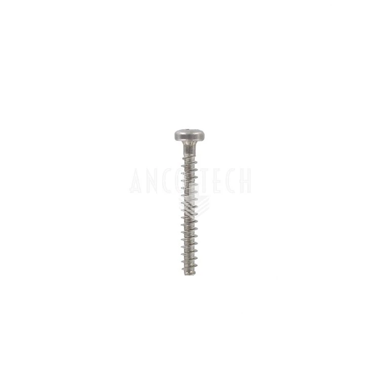 EDELSTAHL SCHRAUBE PZD 3X25 FÜR P203 GRUNDBLATT