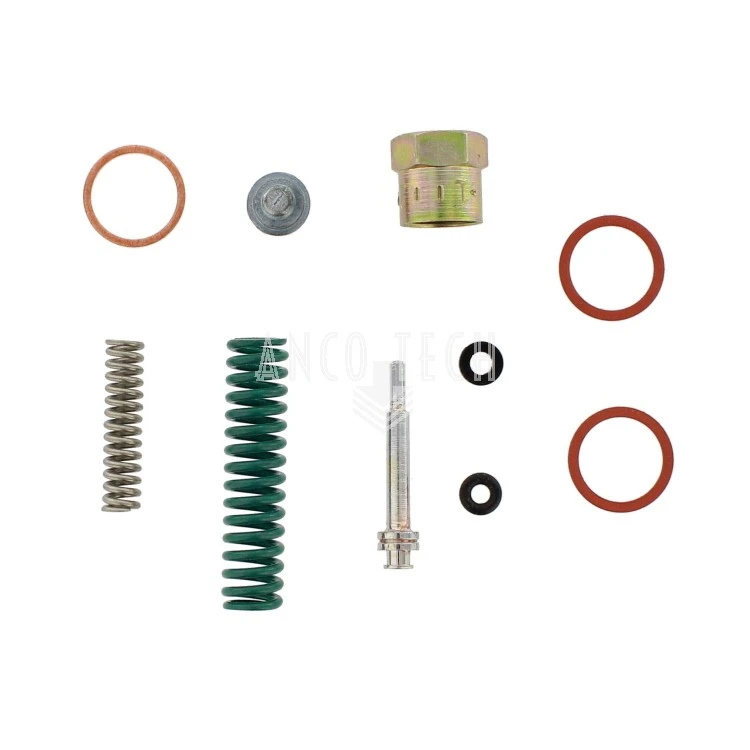 GENERALÜBERHOLKIT 247955 FÜR SL43