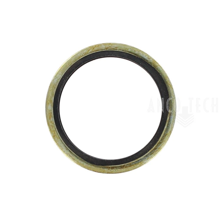BONDED SEAL 1" BSP