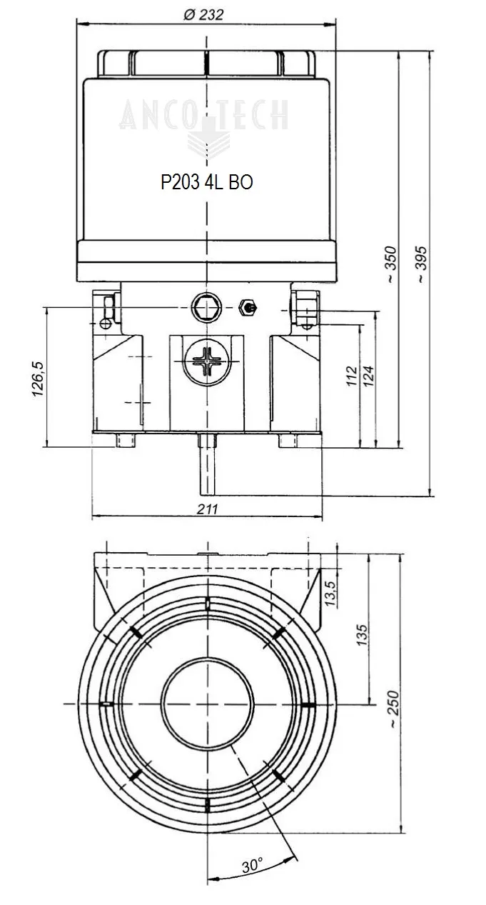 P203 FETTPUMPE 4L 24V + TIMER
