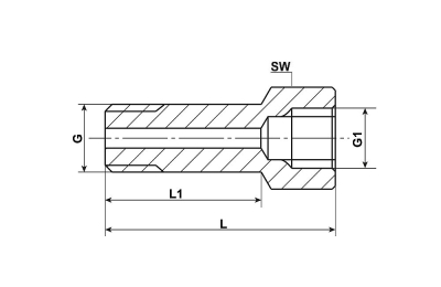 ERWEITERUNGSNIPPEL NPT 1/8 EXT X 1/8 NPT INT L=48MM