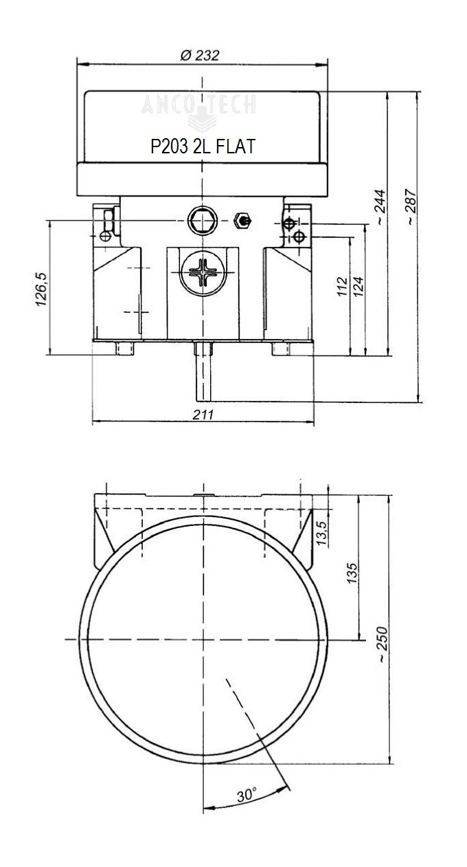 P203 FETTPUMPE 2L FLACH 24V + TIMER
