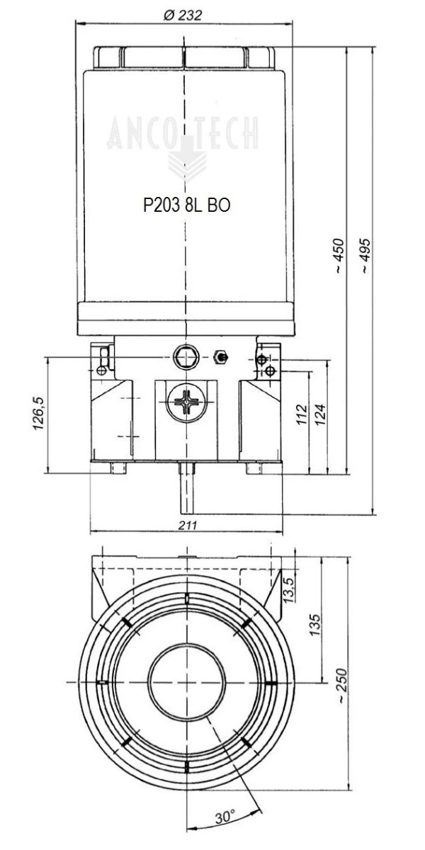 P203 FETTPUMPE 8L 24V + TIMER
