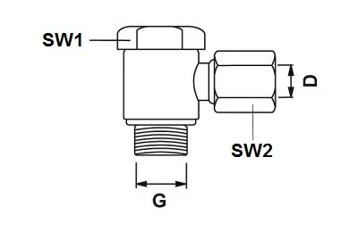 BANJO-VERBINDUNG SWVE 6LL 1/8 BSP