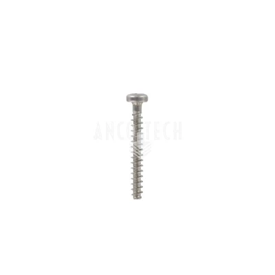 EDELSTAHL SCHRAUBE PZD 3X25 FÜR P203 GRUNDBLATT