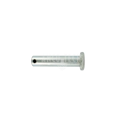 BOLZEN MIT KOPF D12,0X 55 Z
