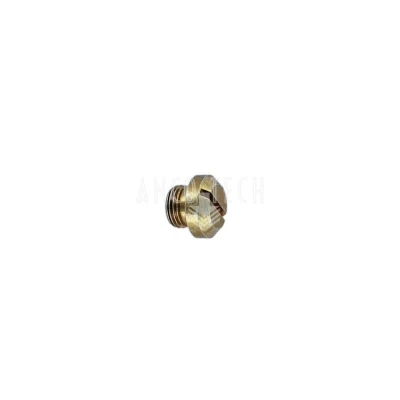 PLUG CLOSURE-SLOT R1/8X 6 C