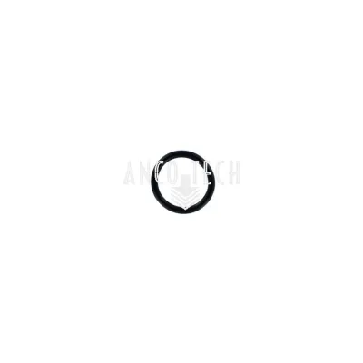 O RING 34174