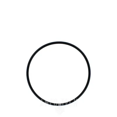 O RING 34377