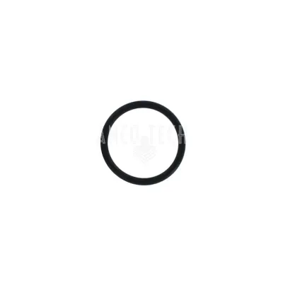 O-RING FKM 34776