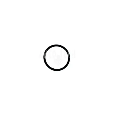 O RING 34828