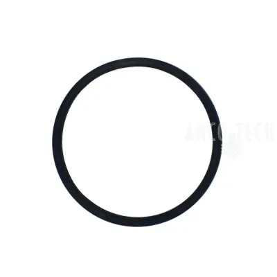 SICHERUNGSRING 239960