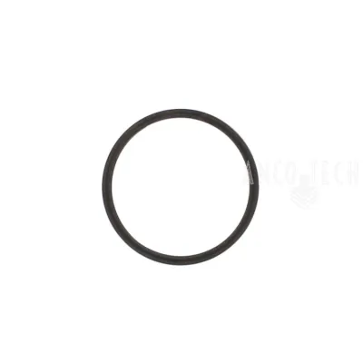 SICHERUNGSRING 247273