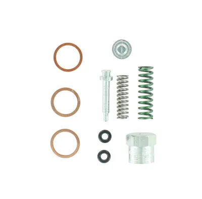 REPARATIE KIT 247954 VOOR SL42