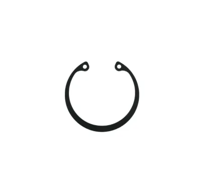 RETAINING RING 272562