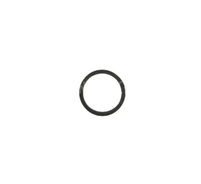 RETAINING RING 270705