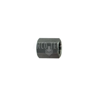 GERADEM STECKER 1/8 BSP EDELSTAHL