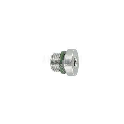 ABSCHALT-STECKPLATTE 1/4 BSP Edelstahl