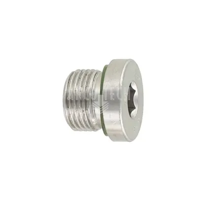VERSCHLUSSPLUG 3/8 BSP Edelstahl