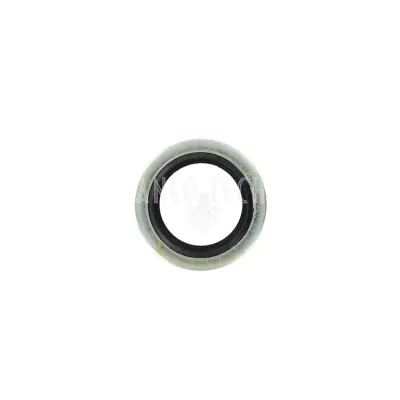 BONDED SEAL 3/8 BSP