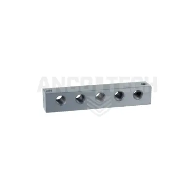 Schmiernippelblock 5 Anschlüsse 1/8"