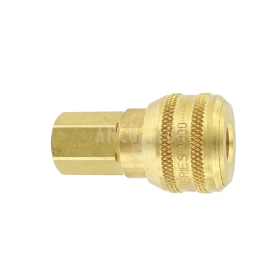 SCHNELLKUPPLUNG 1/4 NPT SERIE 3000