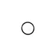 O RING 34828