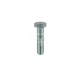 CAP SCREW 51023