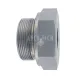 ADAPTER BSP 2" M x 1" BSP W