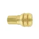SCHNELLKUPPLUNG 1/4 NPT SERIE 3000
